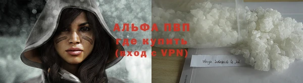 герыч Новодвинск