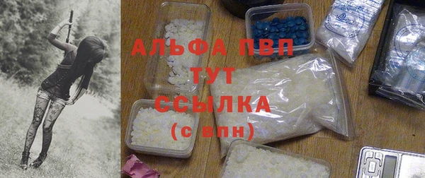 трава Новокубанск